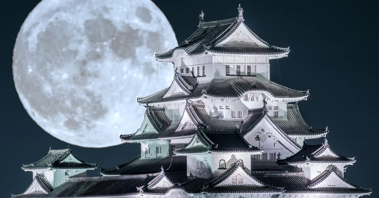 世界遺産でSDGsを考える② ～日本の木造建造物～｜コアラまーち
