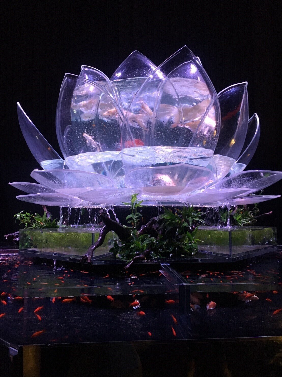 性格悪い人ほどメンタルが強い気がする 星ひろ乃 ウォーキングスタイリスト Note 性格悪い人ほどメンタルが強い気がする 星ひろ乃 ウォーキングスタイリスト Note