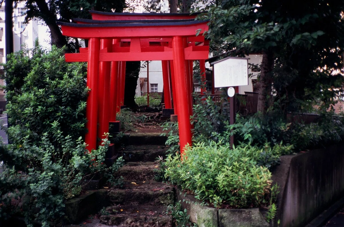 画像