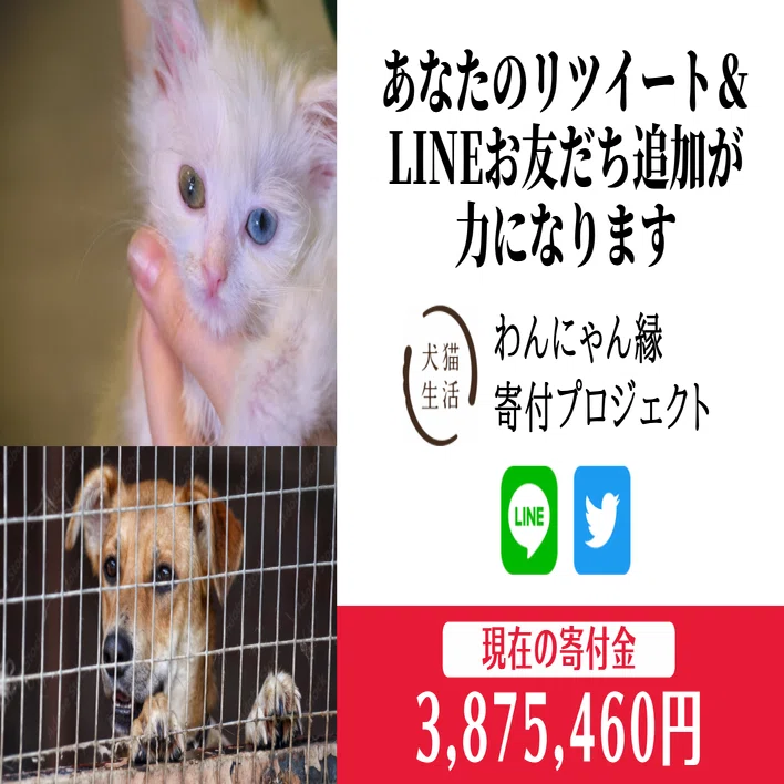 日本を殺処分ゼロに】さらなる寄付を目指し、Twitterで皆様のお力をお