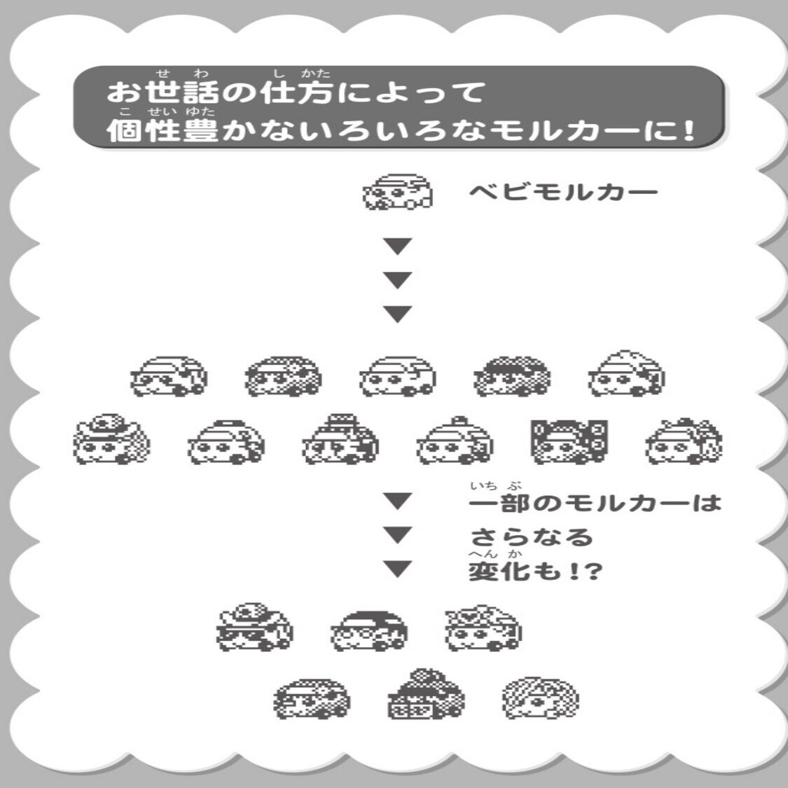 おうちについに モルカっち が来た Pictoria Note