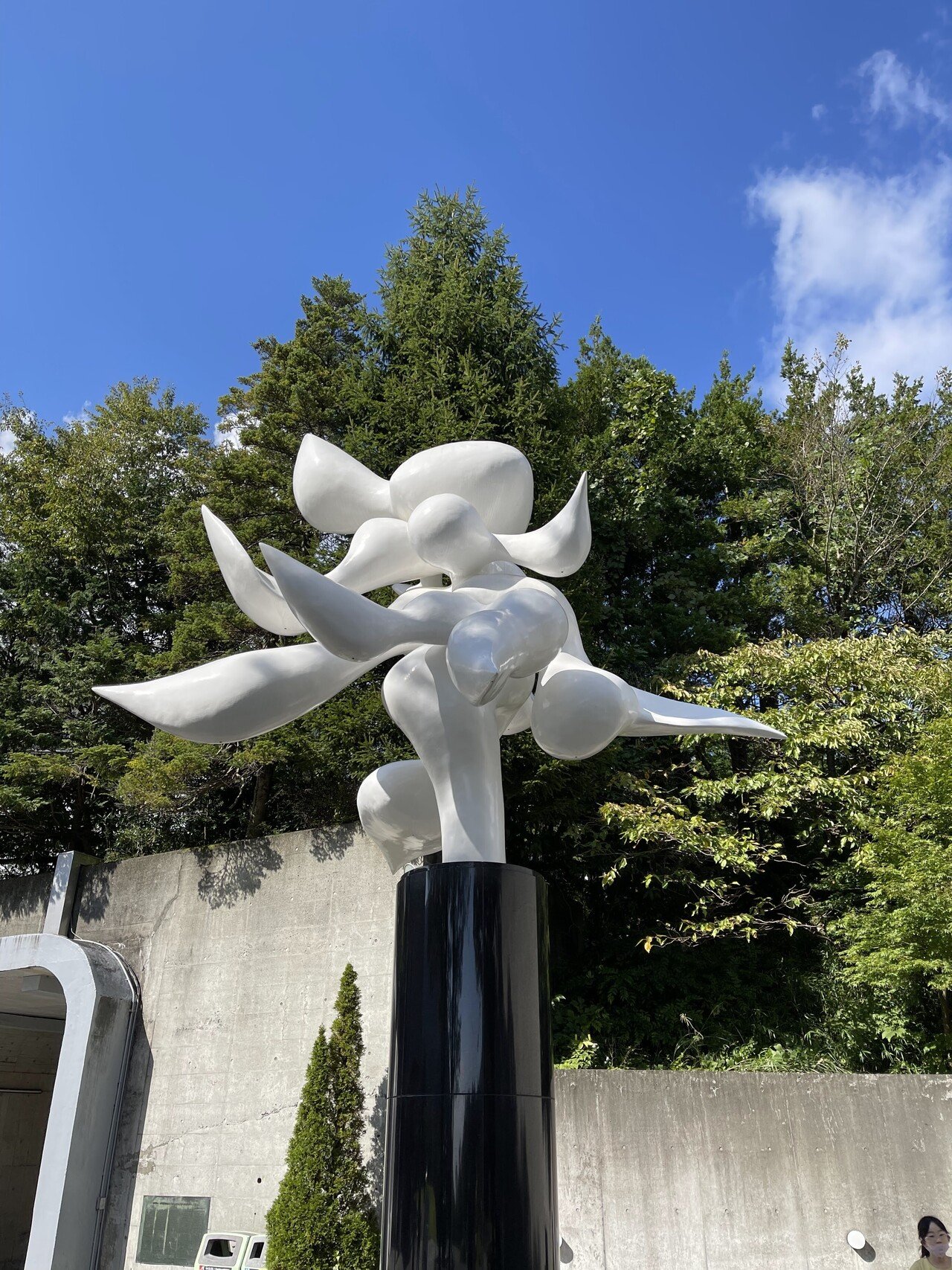 「Den Mother」というタイトルの彫刻作品 第88回新制作展 京都展』 私は樟の猫の親子の木彫『 Mother 』を出品