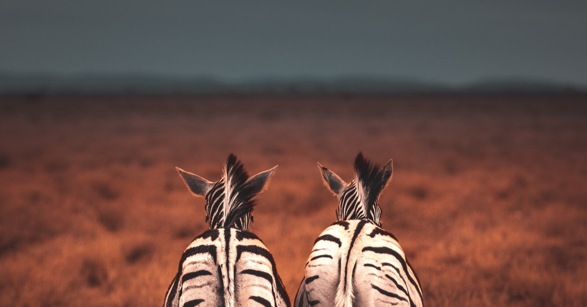 岸田首相が引用した アフリカの諺 の起源に関する問答 週刊だえん問答 74 より 黒鳥社 Blkswn Publishers Inc Note