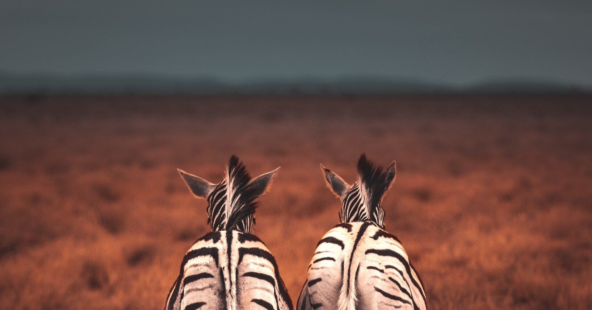 岸田首相が引用した アフリカの諺 の起源に関する問答 週刊だえん問答 74 より 黒鳥社 Blkswn Publishers Inc Note 岸田首相が引用した アフリカの諺 の起源に関する問答 週刊だえん問答 74 より 黒鳥社 Blkswn Publishers Inc Note