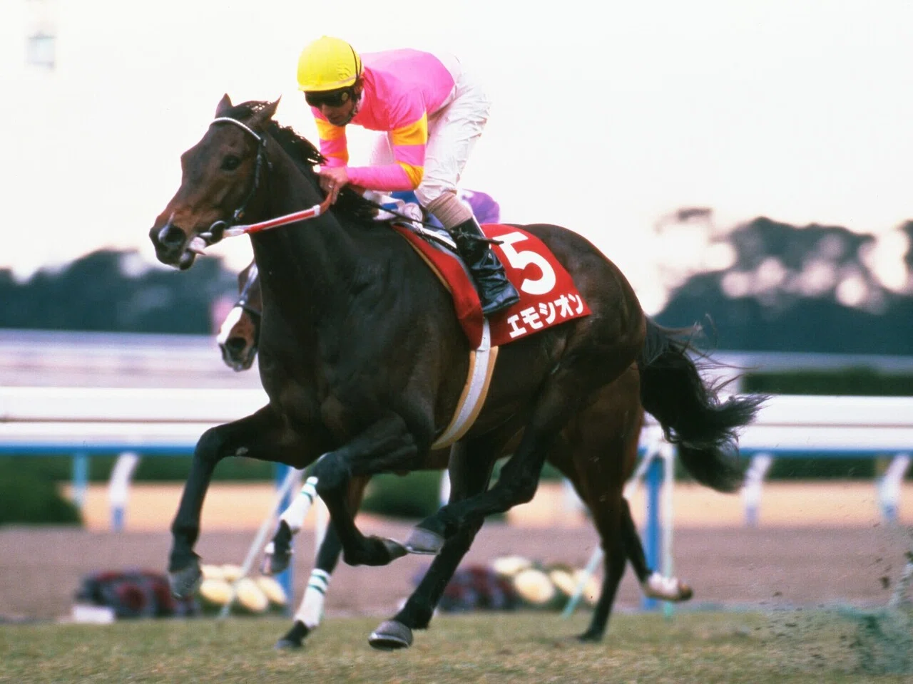 ウマ娘で学ぶ競馬史 #17 最強世代 (1998)｜マツウラ