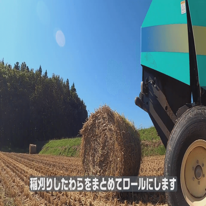稲わら】ロールのつくり方をご紹介します！｜井上寅雄農園 / 井上隆太朗