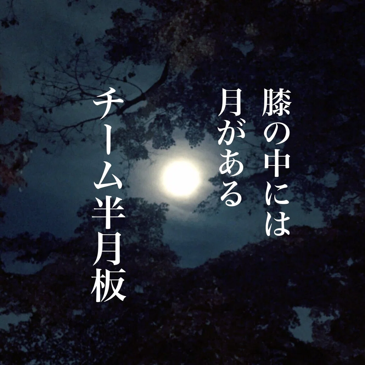 画像52