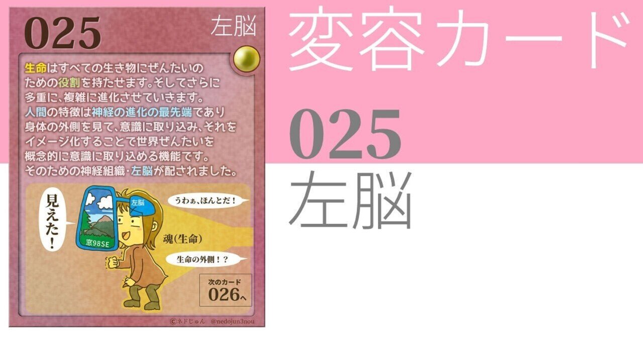 命と脳 カード 025 左脳｜ネドじゅん