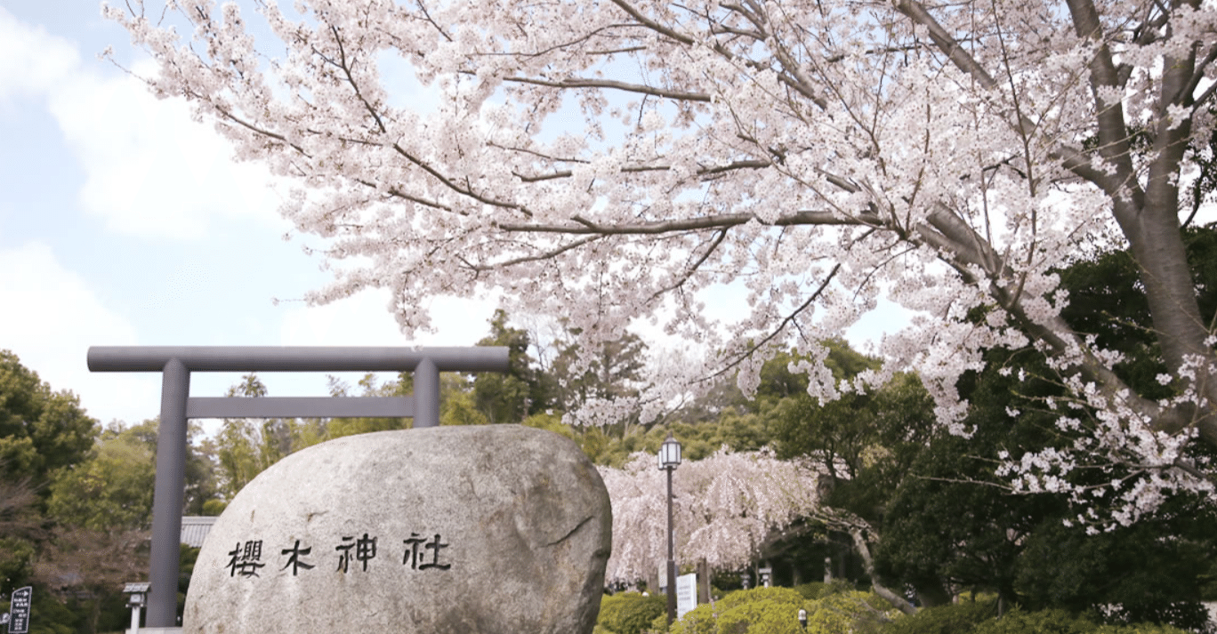 意味が深いサクラの言魂 櫻木神社 京都 谷口松雄堂 御朱印帳ソムリエ Mr わこもん 御朱印帳 のatozをあなたに伝えたい Note
