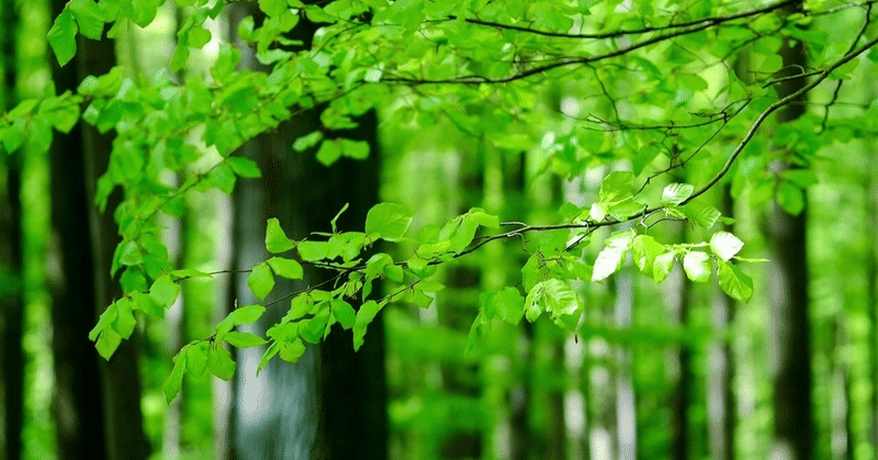 気づきを絶やさず、とらわれず、穏やかに生きる　3