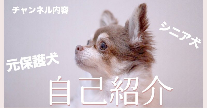 犬ブログ の新着タグ記事一覧 Note つくる つながる とどける