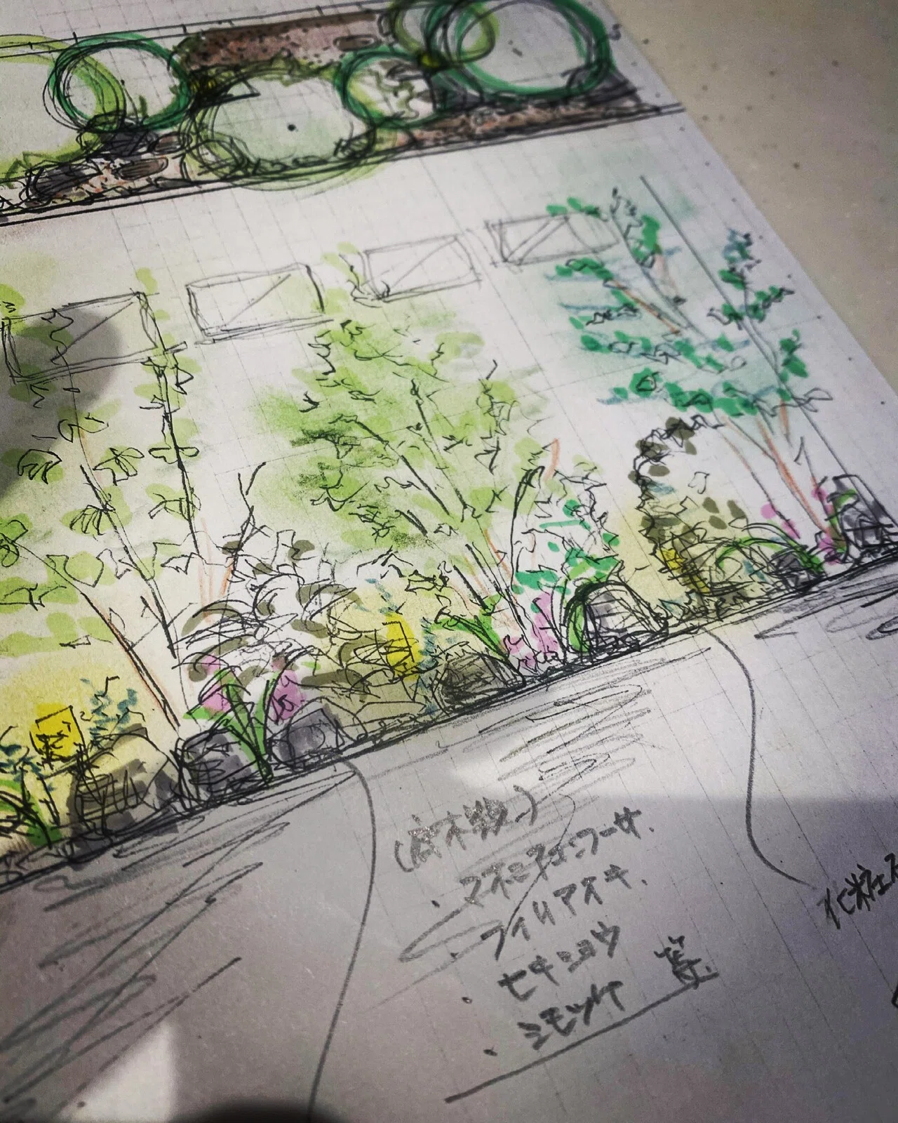 庭のイメージを共有するための手描きスケッチについて 後編｜haco