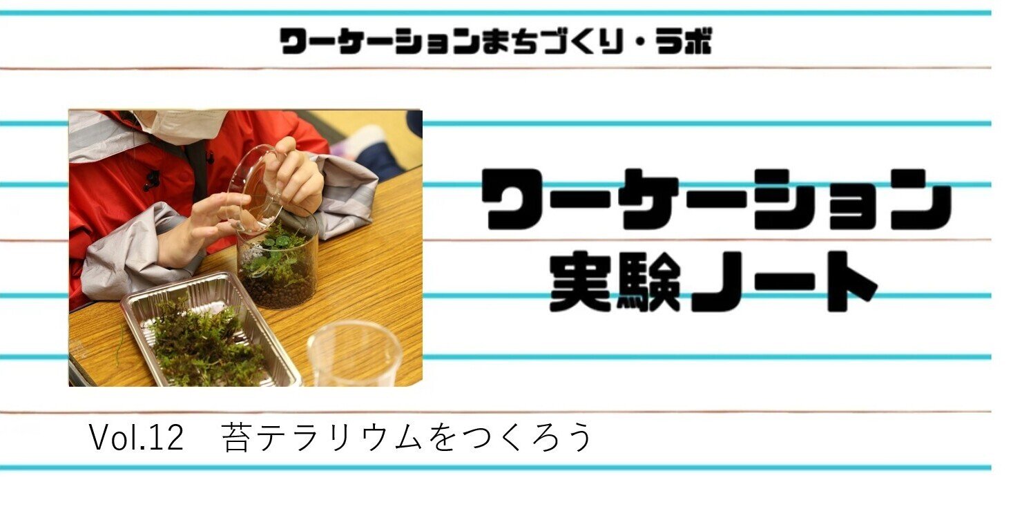 苔テラリウムをつくろう～キャンプ場の自然を活用する～｜ワー