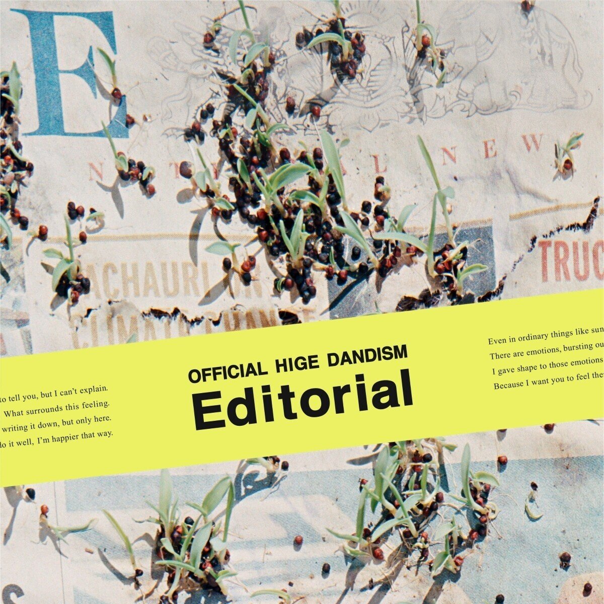 Official髭男dism / Editorial｜ヴァジュラ𝔦𝔡