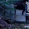 たなか