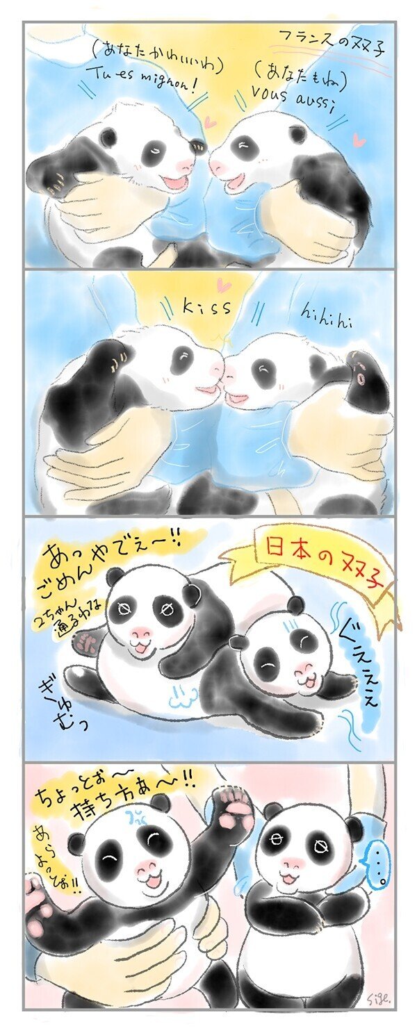 パンダ 童童 トントン 誕生 イラスト テレカ から厳選した パンダ 童童 トントン 誕生 イラスト テレカ から厳選した