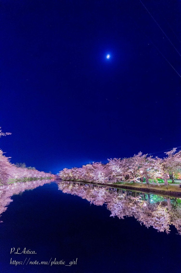 弘前公園；日中の外濠の花筏も素敵でしたが（ https://note.mu/plastic_girl/n/n0d1be1f039e1 ) 夜はまた違った魅力が。　(2017.5.2撮影)