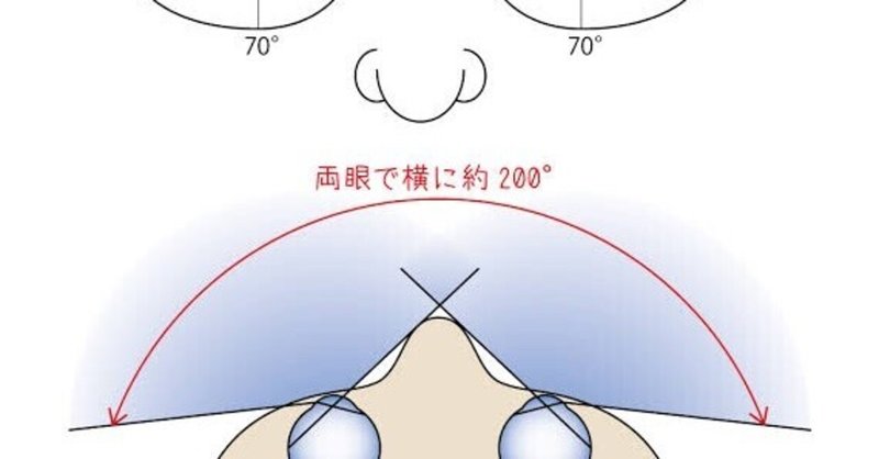 庭球眼練習法(初級編)