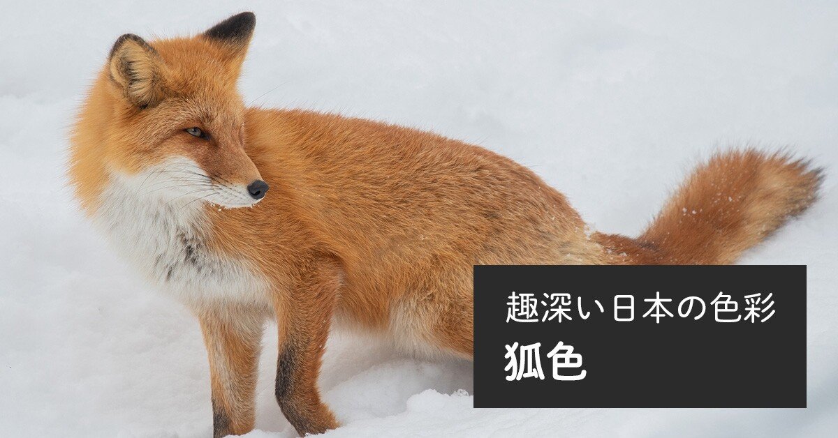 秋色狐 449cf2fde3cc85047a042452c3adcf