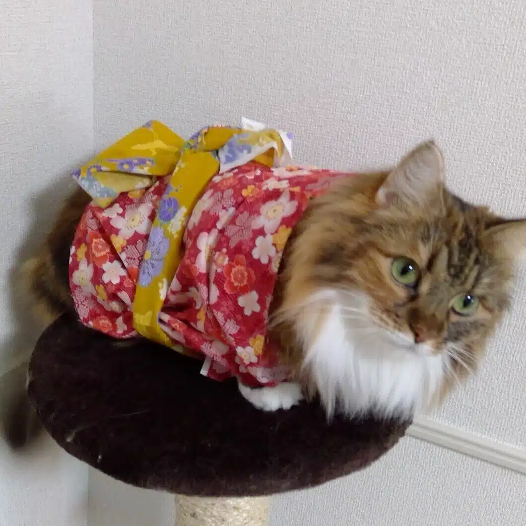 吉村うにうに