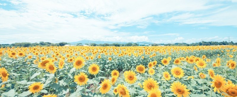 30歳無職彼氏なし女が人生逆転した話 Kazwick 起業 海外 1歳児育児 Note