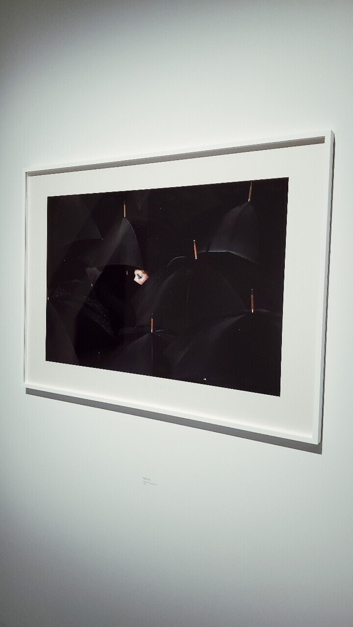 The Absurd and The Sublime ギイ ブルダン展」｜遠藤歩