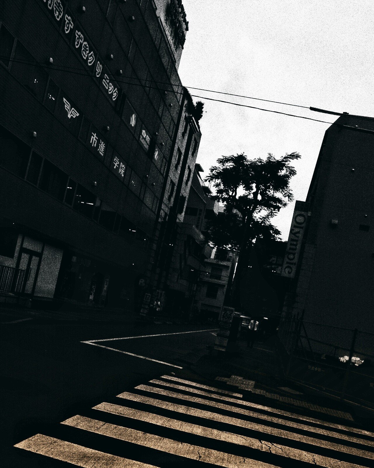 高円寺 反映え主義 To Prove That There Are Those Who Stand On The Border 境界に立つ者の存在を 証明するために 杉本健太郎 Kentaro Sugimoto Book Editor Note