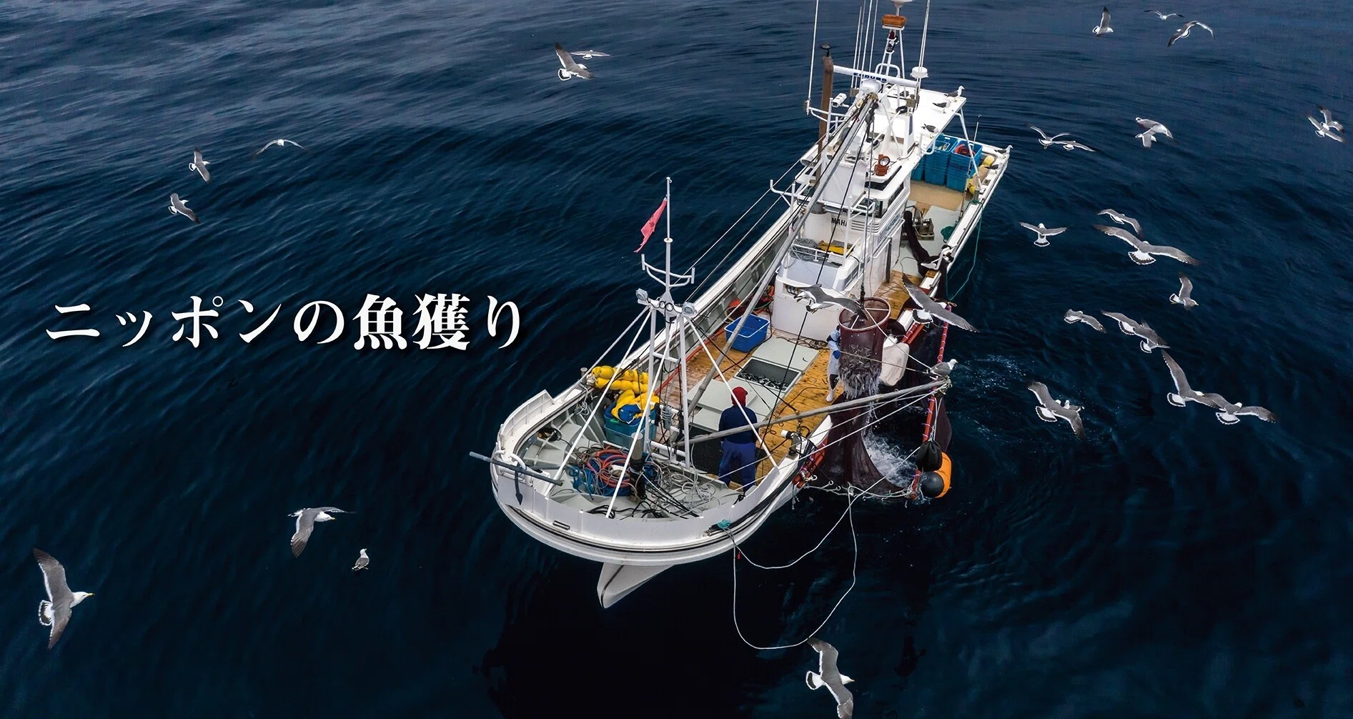 ニッポンの魚獲り - 漁業｜ヤマハ発動機 | 海の時間です。