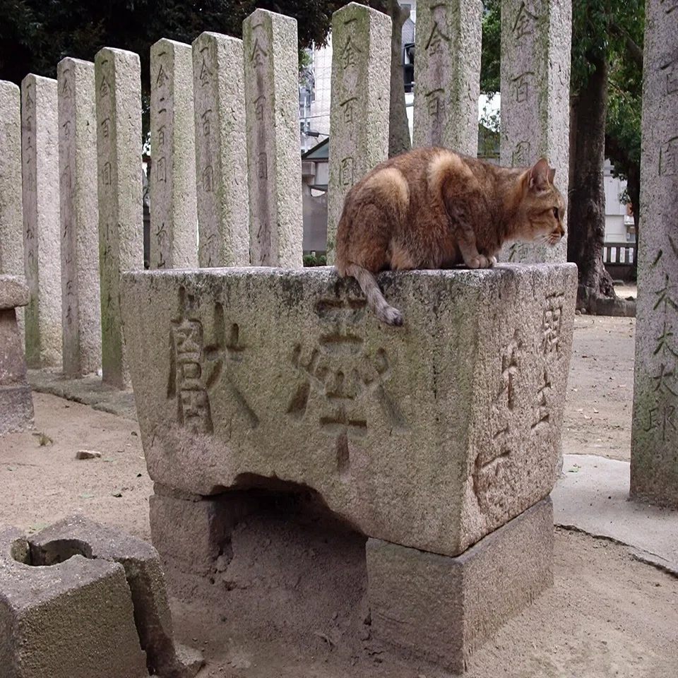 OLYMPUS CAMEDIA C-150で2000年にタイムトリップする｜夢望庵 / Mubou-an
