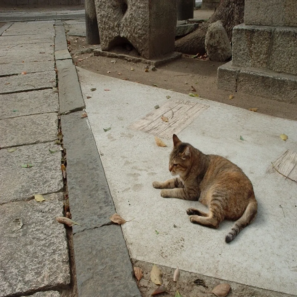 OLYMPUS CAMEDIA C-150で2000年にタイムトリップする｜夢望庵 / Mubou-an