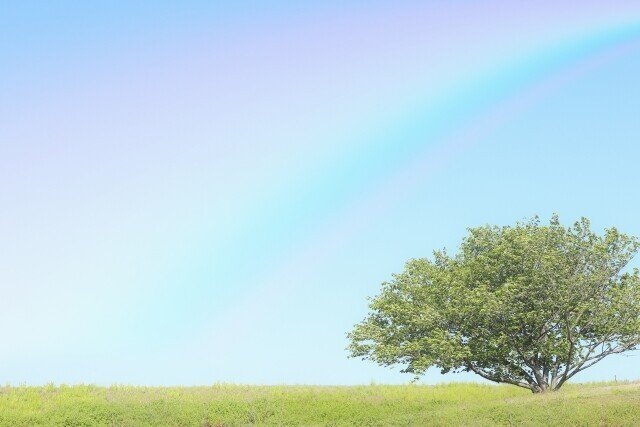 虹　空　木　草原