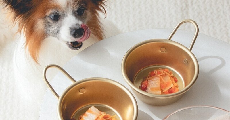 香辛料不使用 わんこ用の白菜キムチ 手作り犬おやつレシピ いちかわあやこ 犬ごはん先生 Note 香辛料不使用 わんこ用の白菜キムチ 手作り犬おやつレシピ いちかわあやこ 犬ごはん先生 Note