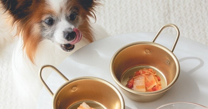 香辛料不使用 わんこ用の白菜キムチ 手作り犬おやつレシピ 単品購入 いちかわあやこ 犬ごはん先生 Note 香辛料不使用 わんこ用の白菜キムチ 手作り犬おやつレシピ 単品購入 いちかわあやこ 犬ごはん先生 Note