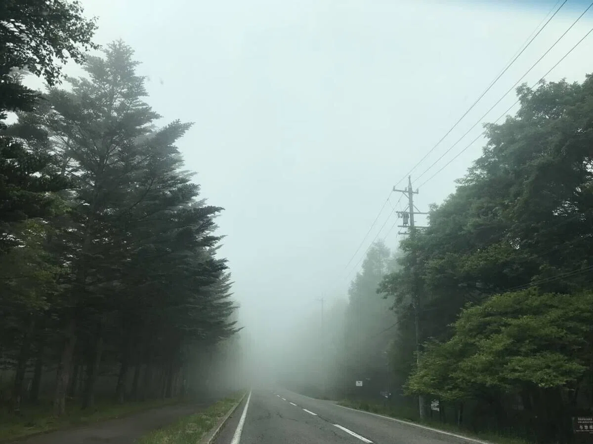 画像13