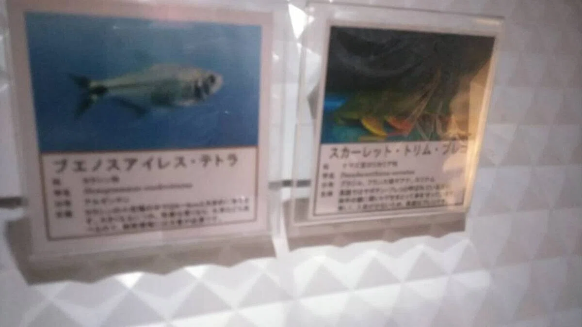 画像22