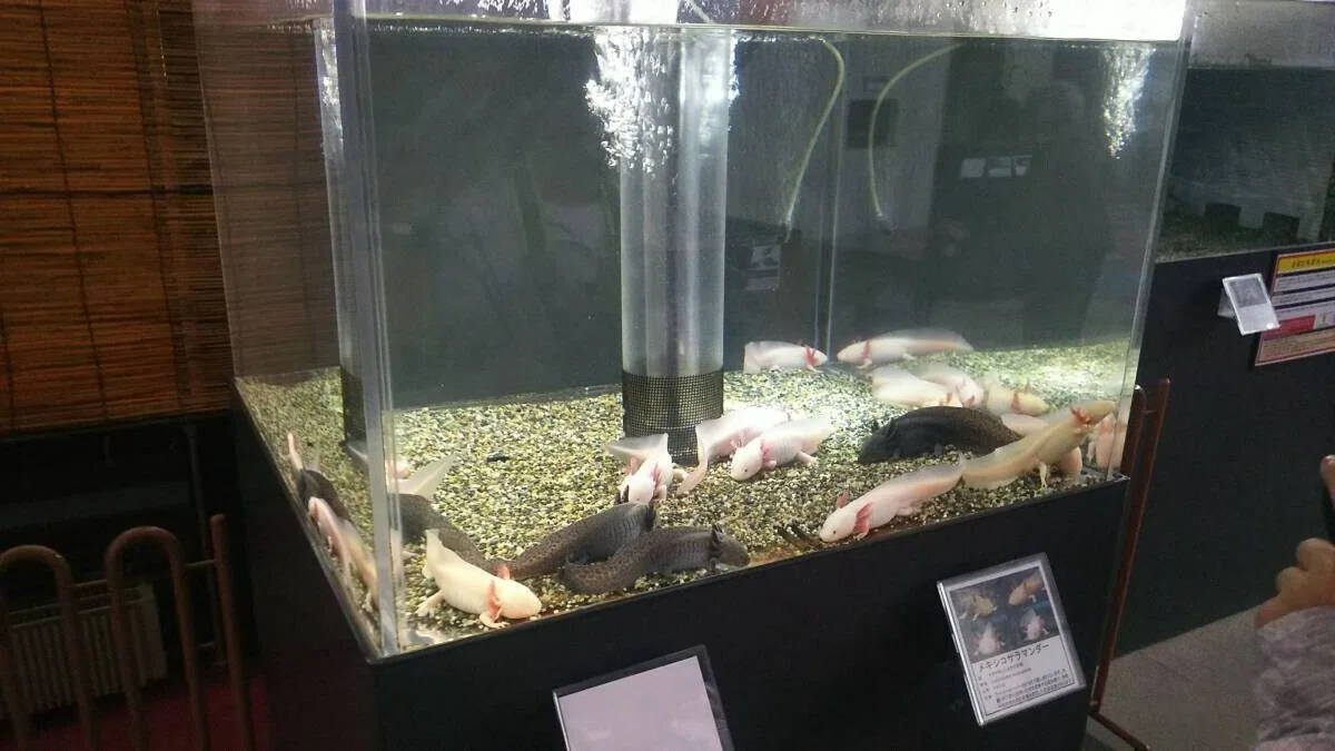 画像15