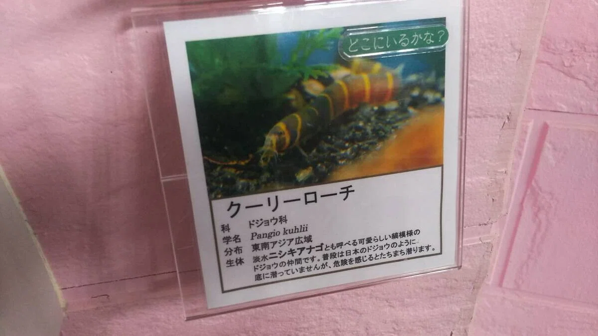 画像20