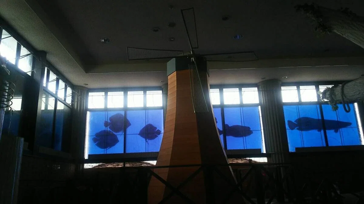 画像25