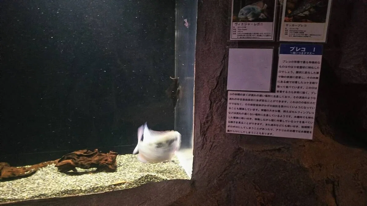 画像28