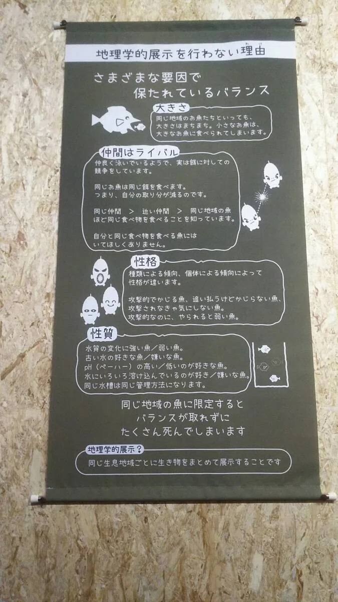 画像42