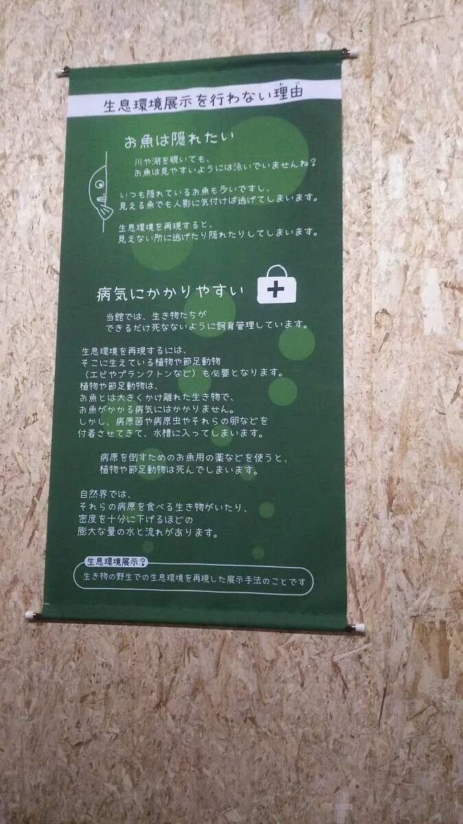 画像43