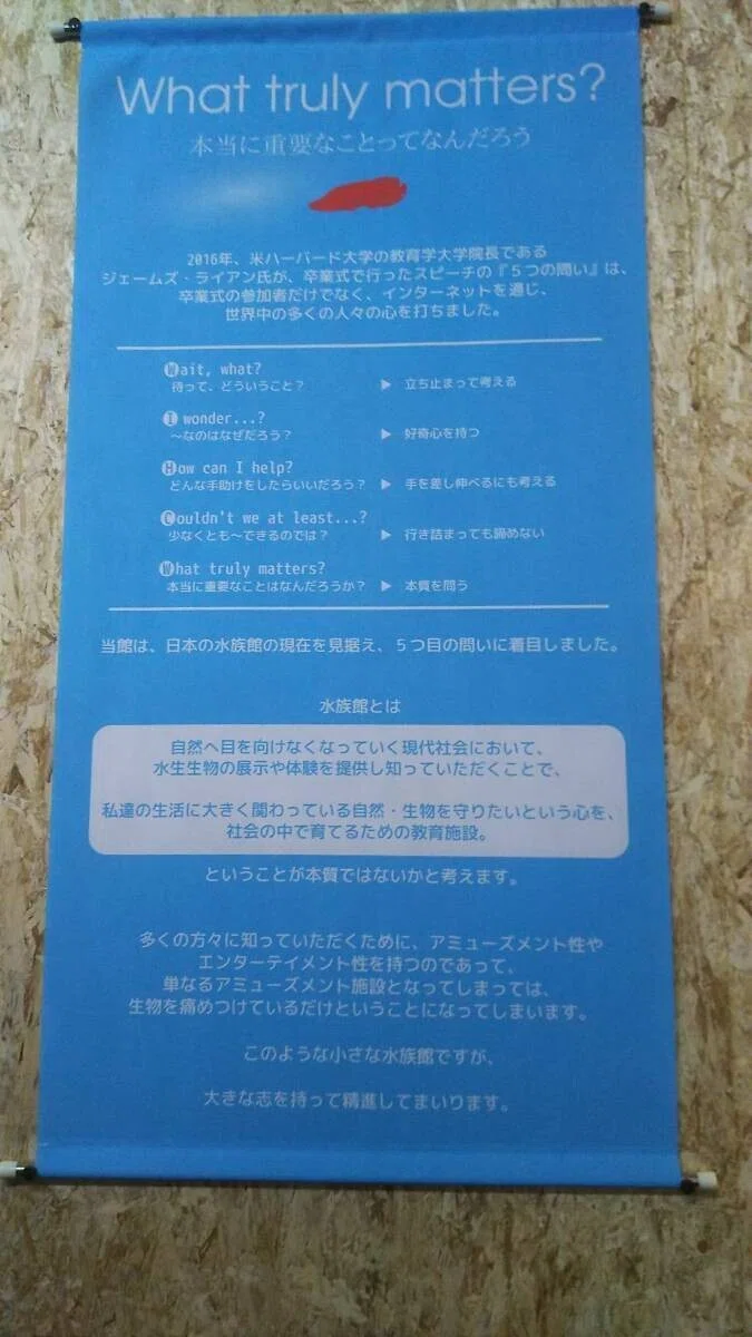 画像44