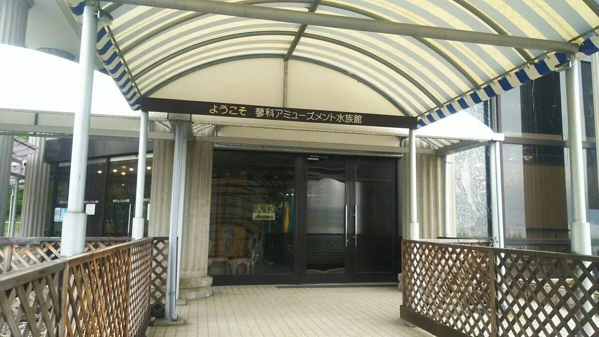 画像49