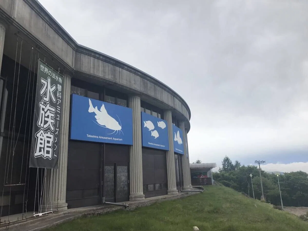 画像45