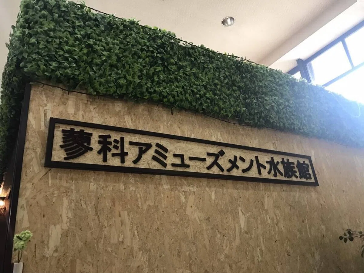 画像51