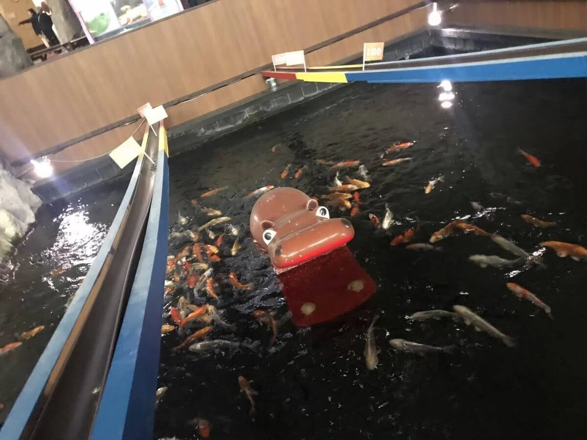 画像52