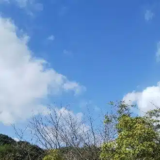 よし