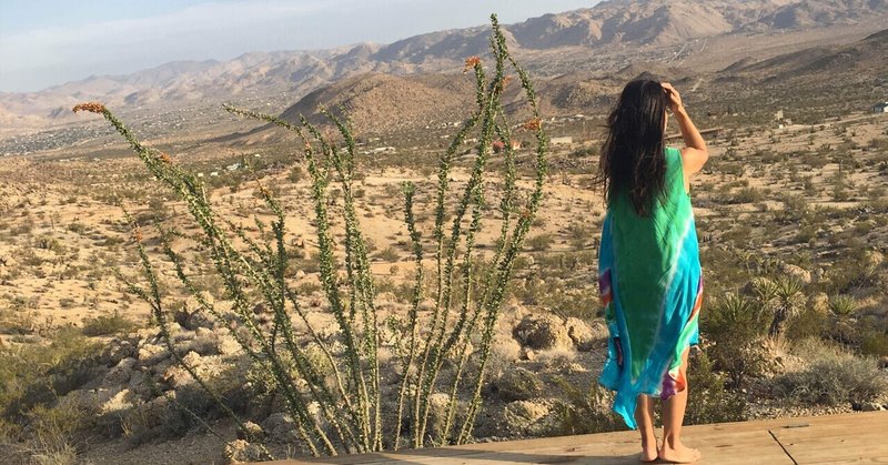 6. Airbnb初体験 in California-Joshua Tree Green Haus, Yucca Valley