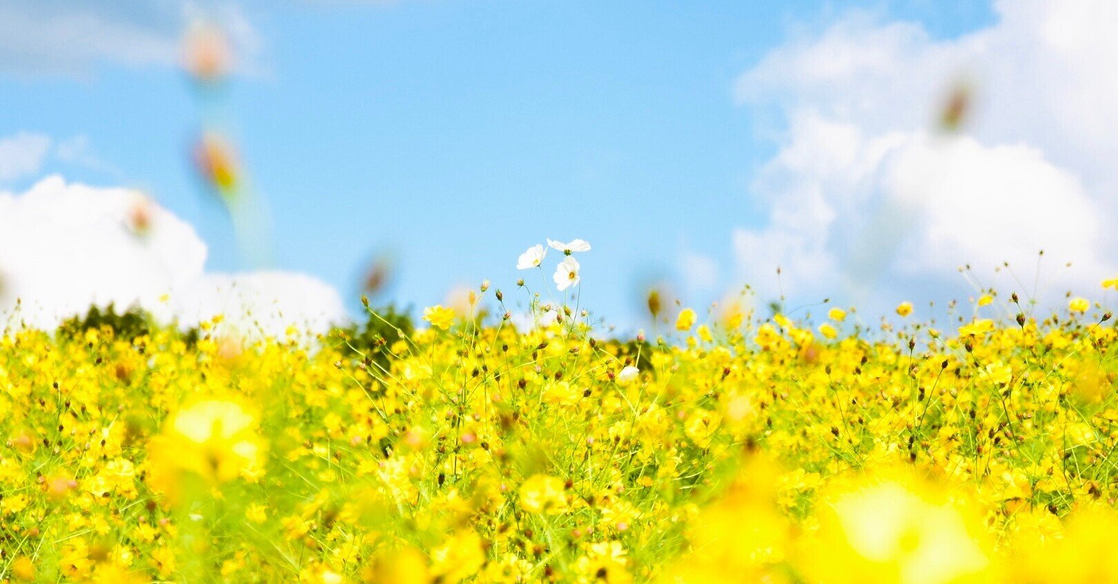 じっくり自分と向き合う100の質問ノートを回答してみた あやめし Note