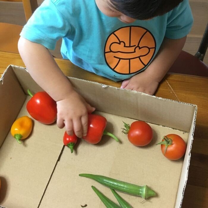 その日した作業や植物の成長記録などを忘れないようにまとめて書いておくところが欲しくてnote始めました 始めてみたけど もう長らくツイッターしかやってなかったおかげで長文の書き方がわからん気がする Shigezo Note